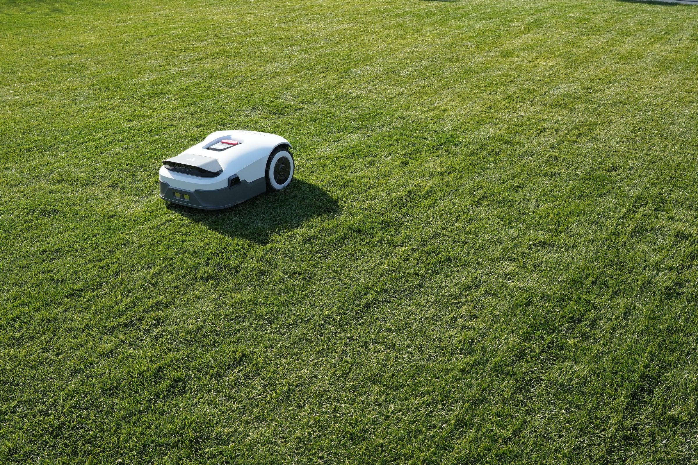 Robotplæneklipper uden kanttråd